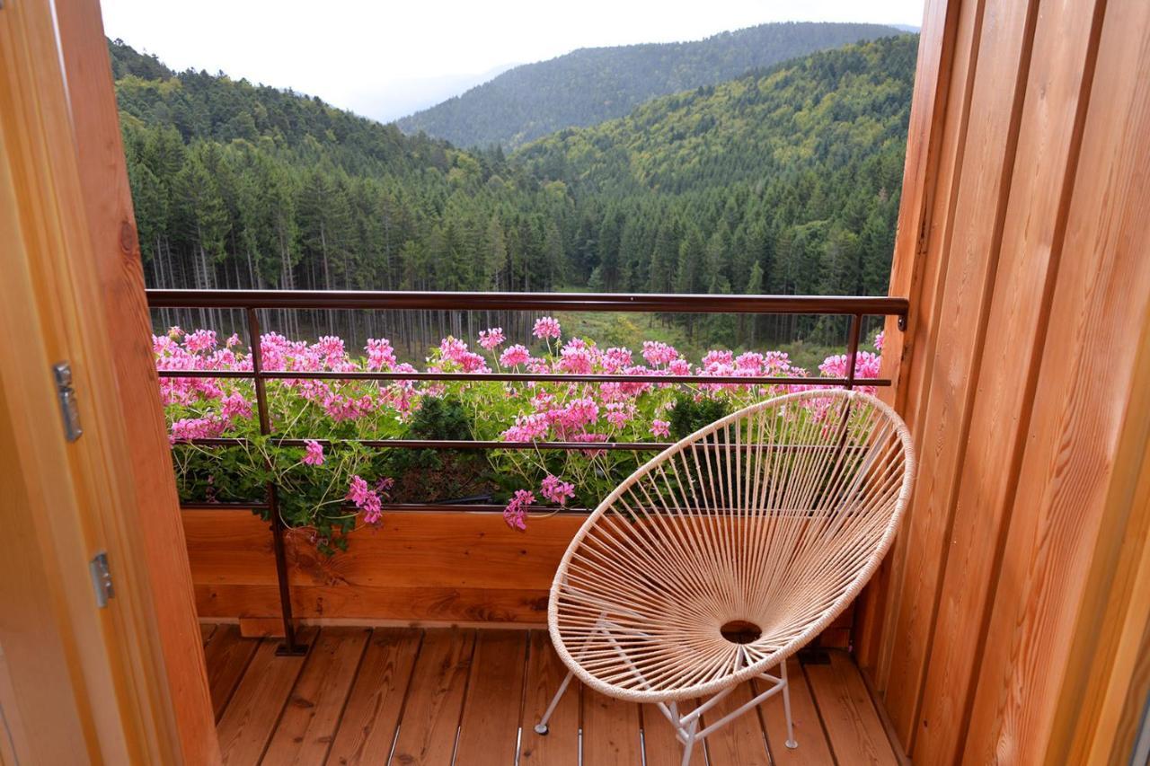 Les Gites D'Adelspach Gites & Spa En Alsace Aubure 외부 사진
