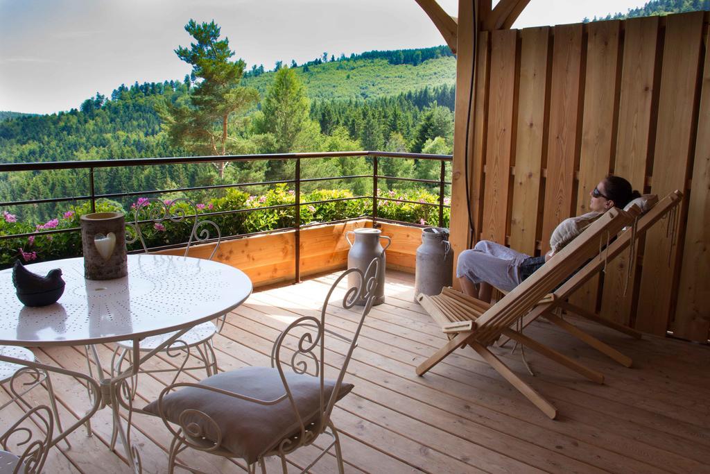 Les Gites D'Adelspach Gites & Spa En Alsace Aubure 객실 사진