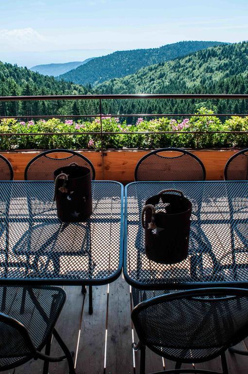 Les Gites D'Adelspach Gites & Spa En Alsace Aubure 객실 사진