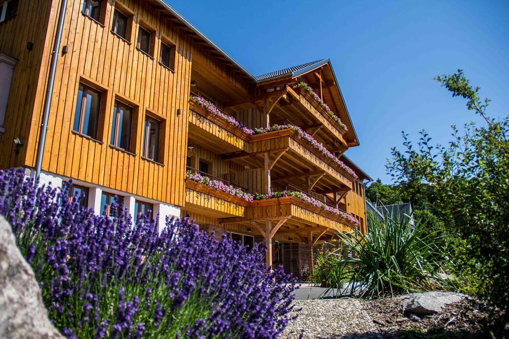 Les Gites D'Adelspach Gites & Spa En Alsace Aubure 외부 사진