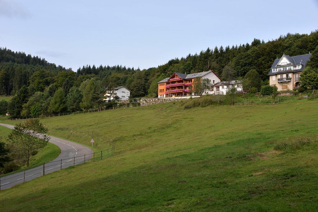 Les Gites D'Adelspach Gites & Spa En Alsace Aubure 외부 사진