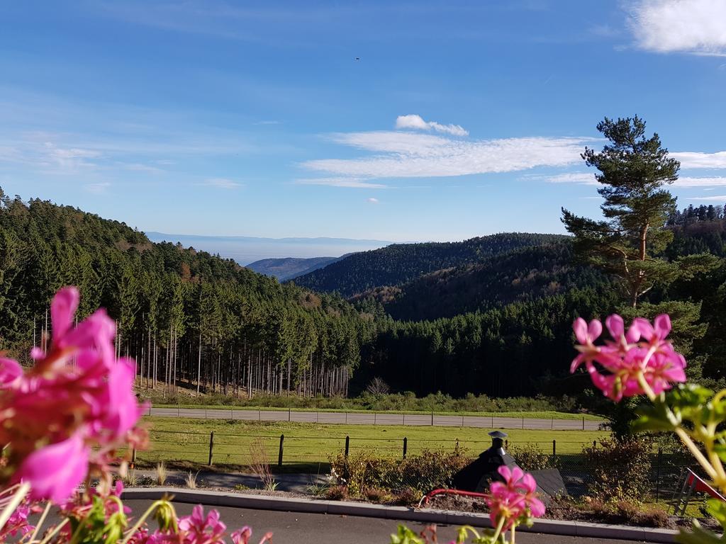 Les Gites D'Adelspach Gites & Spa En Alsace Aubure 외부 사진