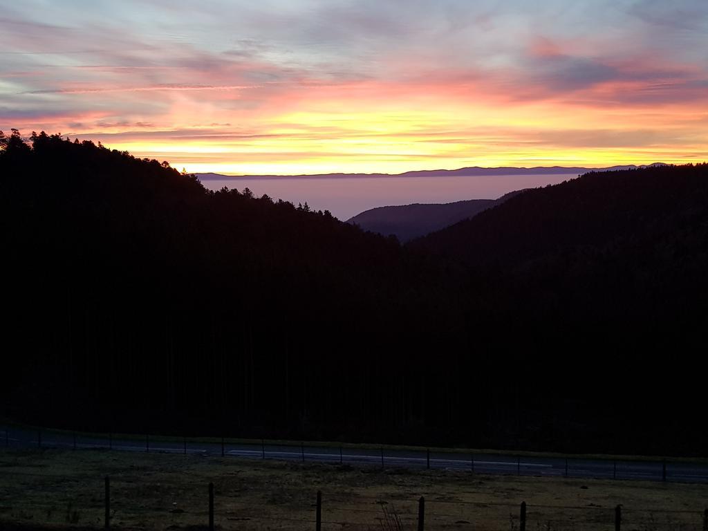 Les Gites D'Adelspach Gites & Spa En Alsace Aubure 외부 사진